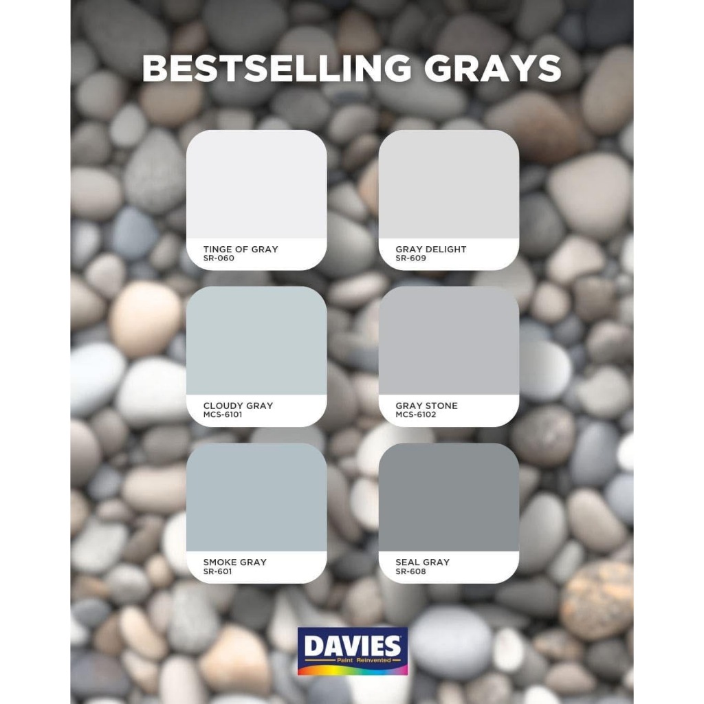 DAVIES SUN & RAIN Elastomeric Paint GRAYS BLACK | Shopee Philippines