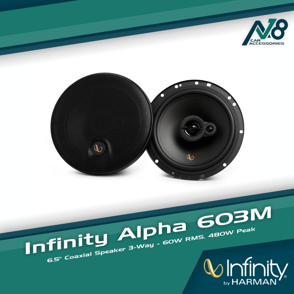 INFINITY Alpha 603M 6.5