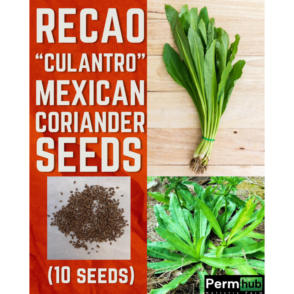 Recao 
