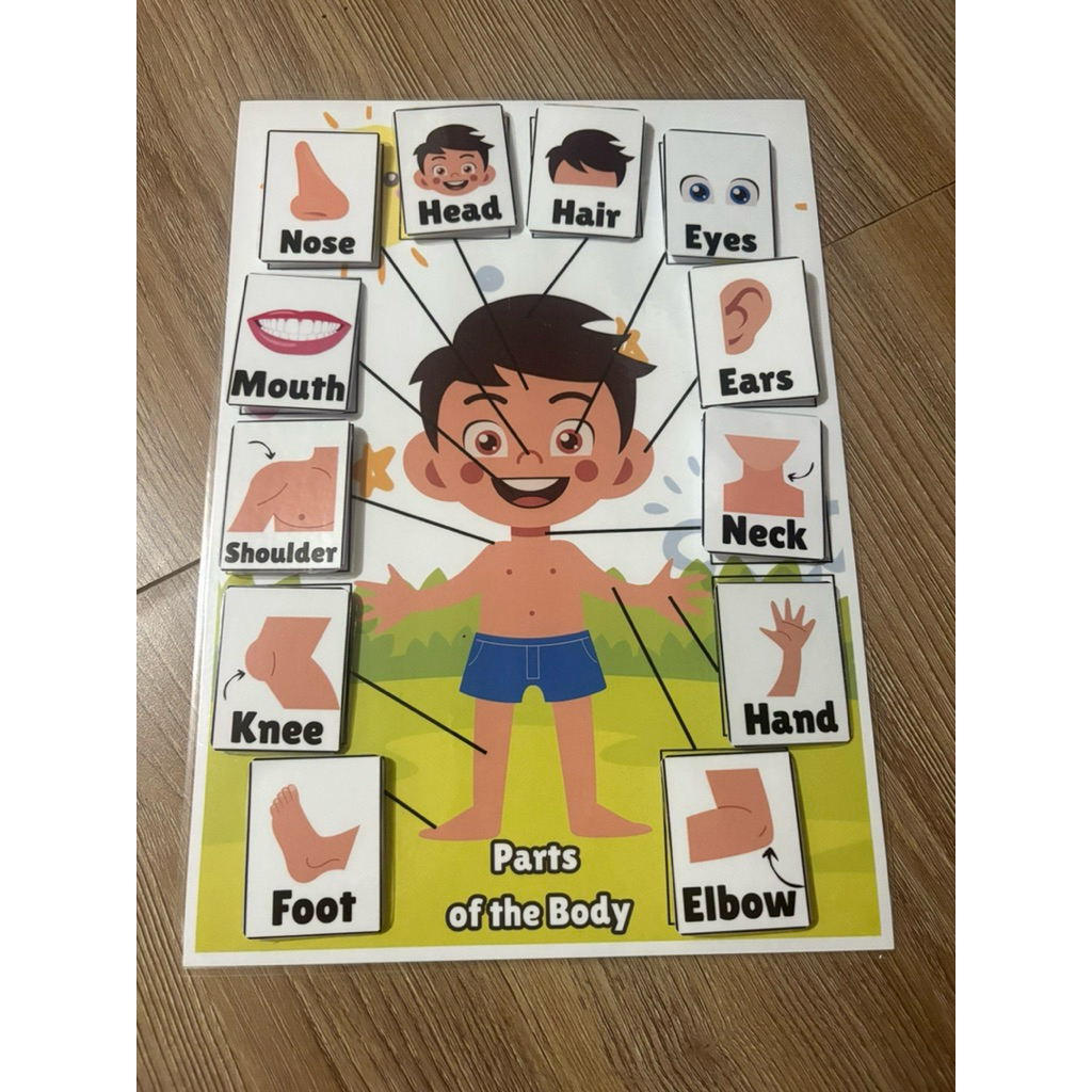 Parts of the Body Stick It Detachable A4 Laminated | Shopee Philippines