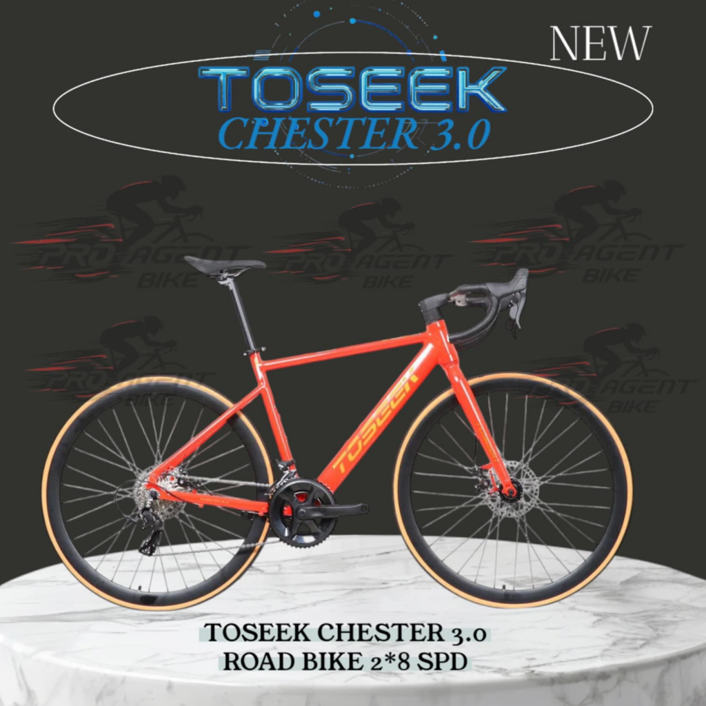 PRO AGENT 2025 Toseek R-Type, AgentX Velocity 700C, Toseek Chester