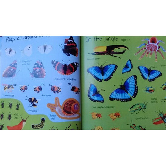 Usborne Original Popular Books First sticker book flags Colouring ...