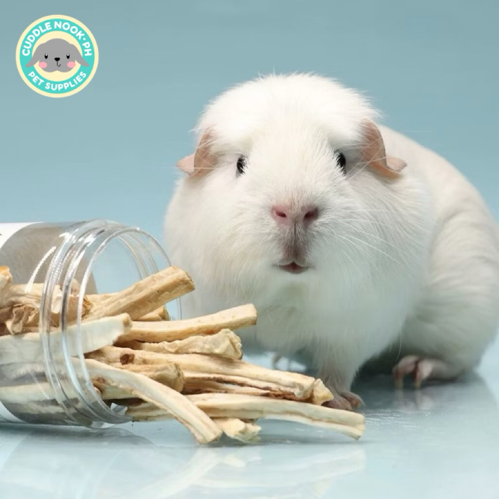 Picture of Dried Chicory Root, treat for rabbits & guinea pigs, 80g | Shopee ...