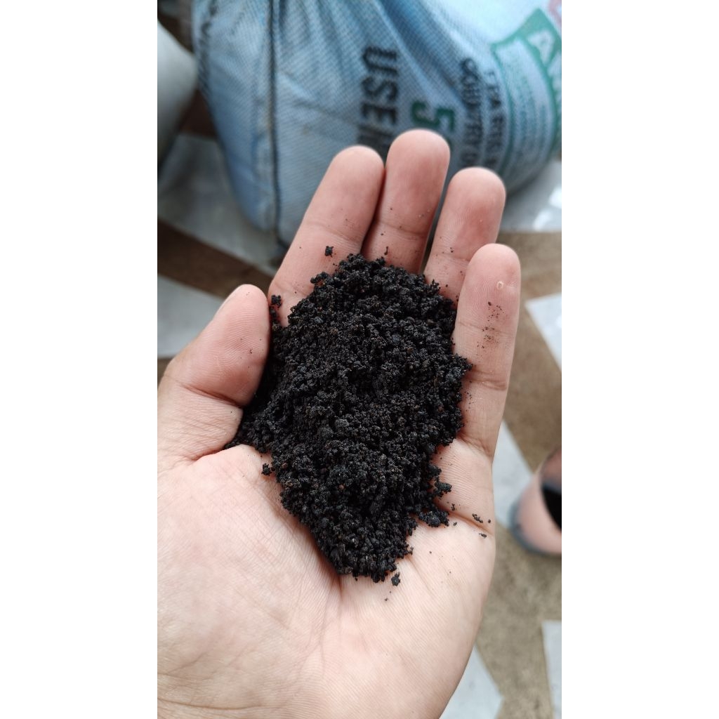 Black Lava Rocks Sand Size #1 (3kg) | Shopee Philippines