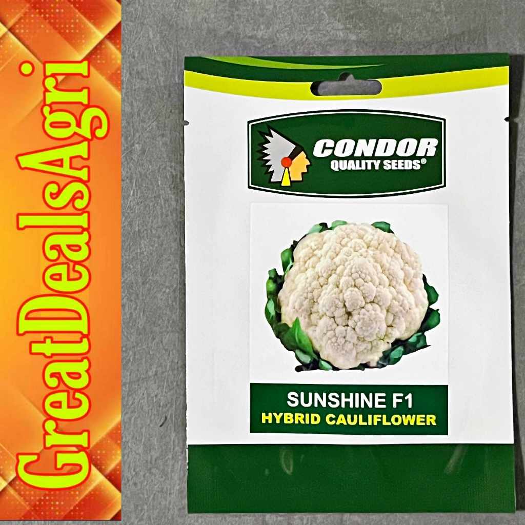SUNSHINE (1 GRAM) HYBRID CAULIFLOWER SEEDS CONDOR SEEDS | Shopee ...