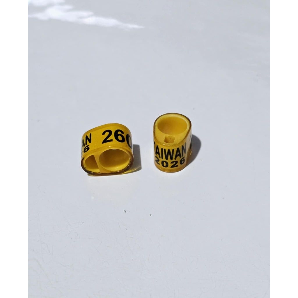 1pcs for 25pesos Comring TAIWAN 2026 Oval with or with out inner ring ...