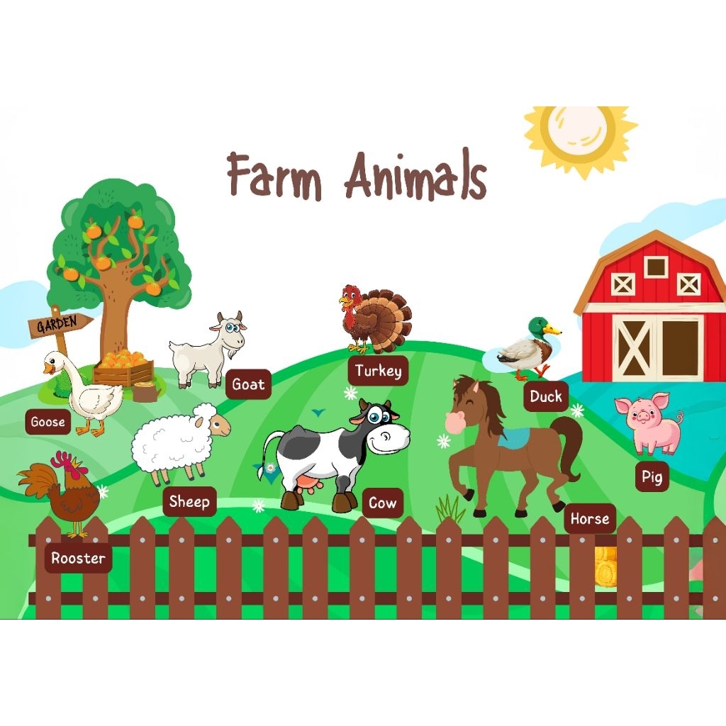 Animals, Transportation, Weather, Solar System Laminated A4 Educational ...