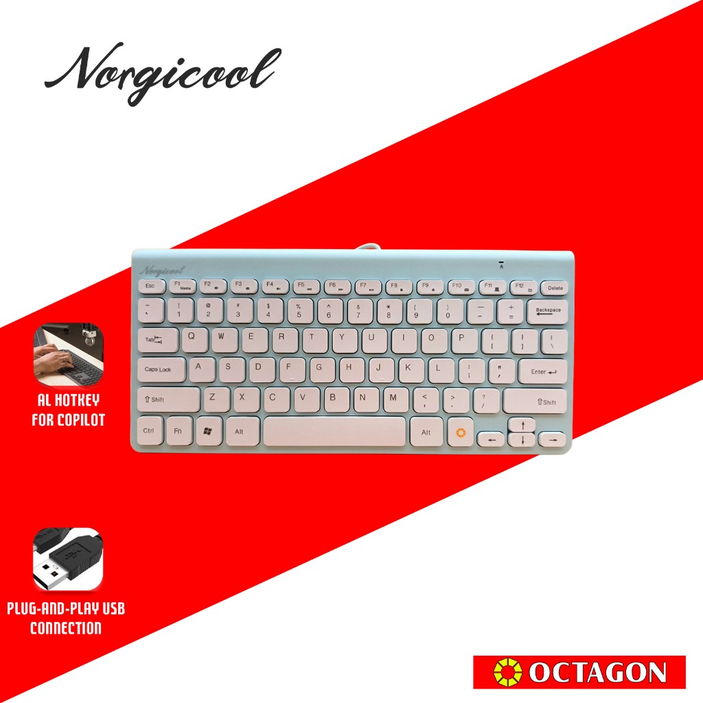 NORGICOOL NK2213-BLI WIRED USB KEYBOARD COPILOT BLUE | Shopee Philippines