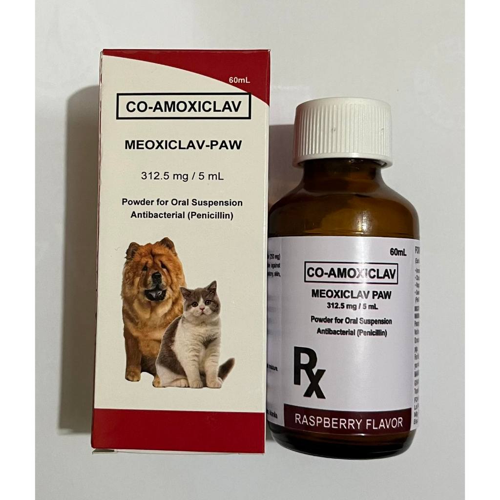 Shop co amoxiclav for Sale on Shopee Philippines