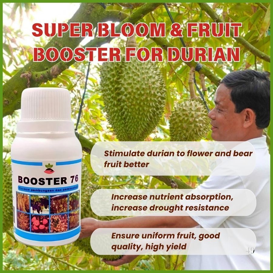 Booster 76 Tampilan 4