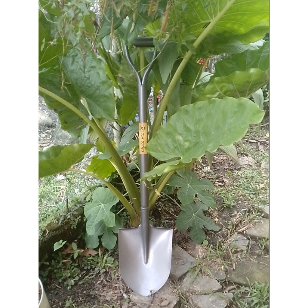 All Steel Shovel Heavy Duty Round Point And Square With D-Handle For ...