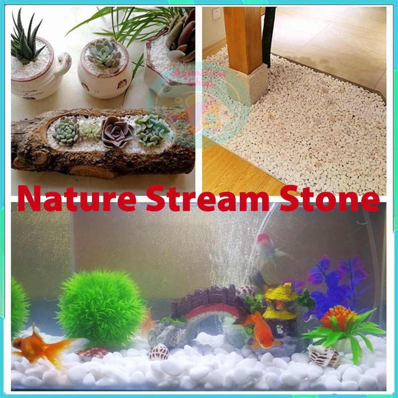 Aquarium Colorful Rocks Selected White Pebbles Stones Natrul Stream ...
