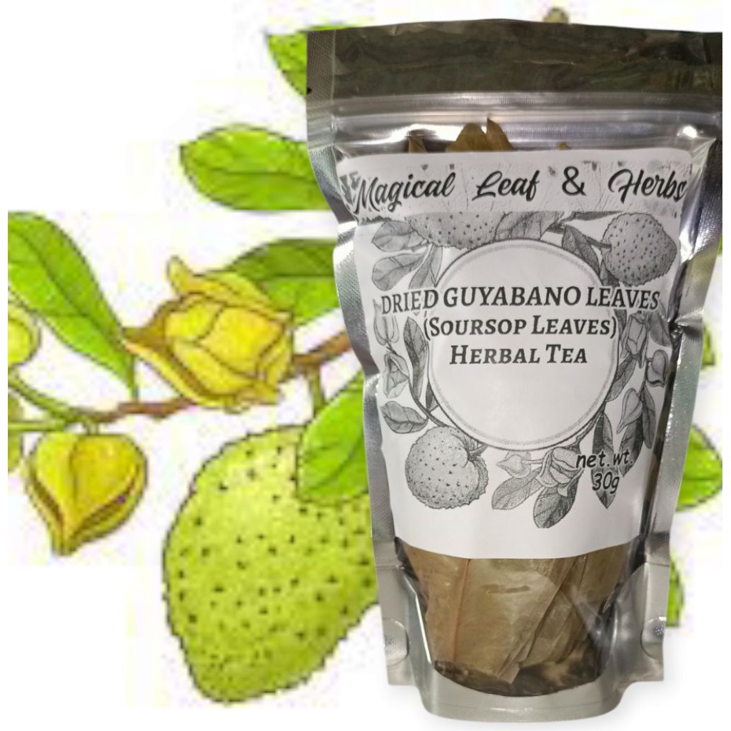 GUYABANO dried LEAF 30grams | Shopee Philippines