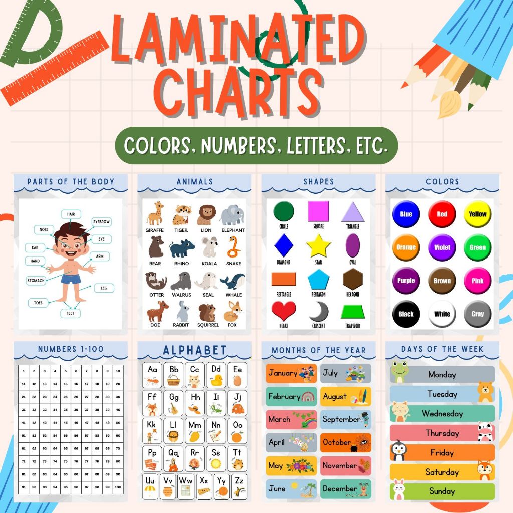 Laminated Chart for Kids (Alphabet, Letters, Numbers, Shapes, Colors ...