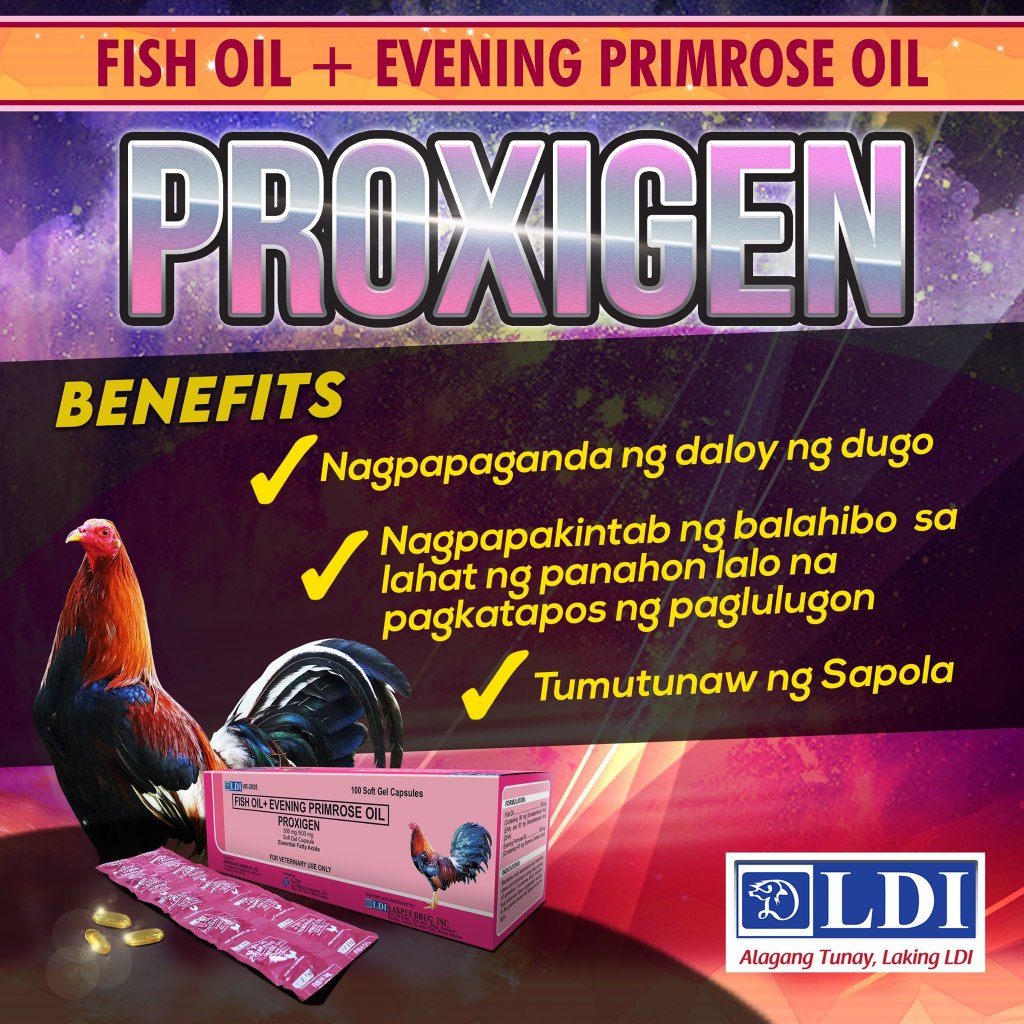 Shop proxigen for Sale on Shopee Philippines