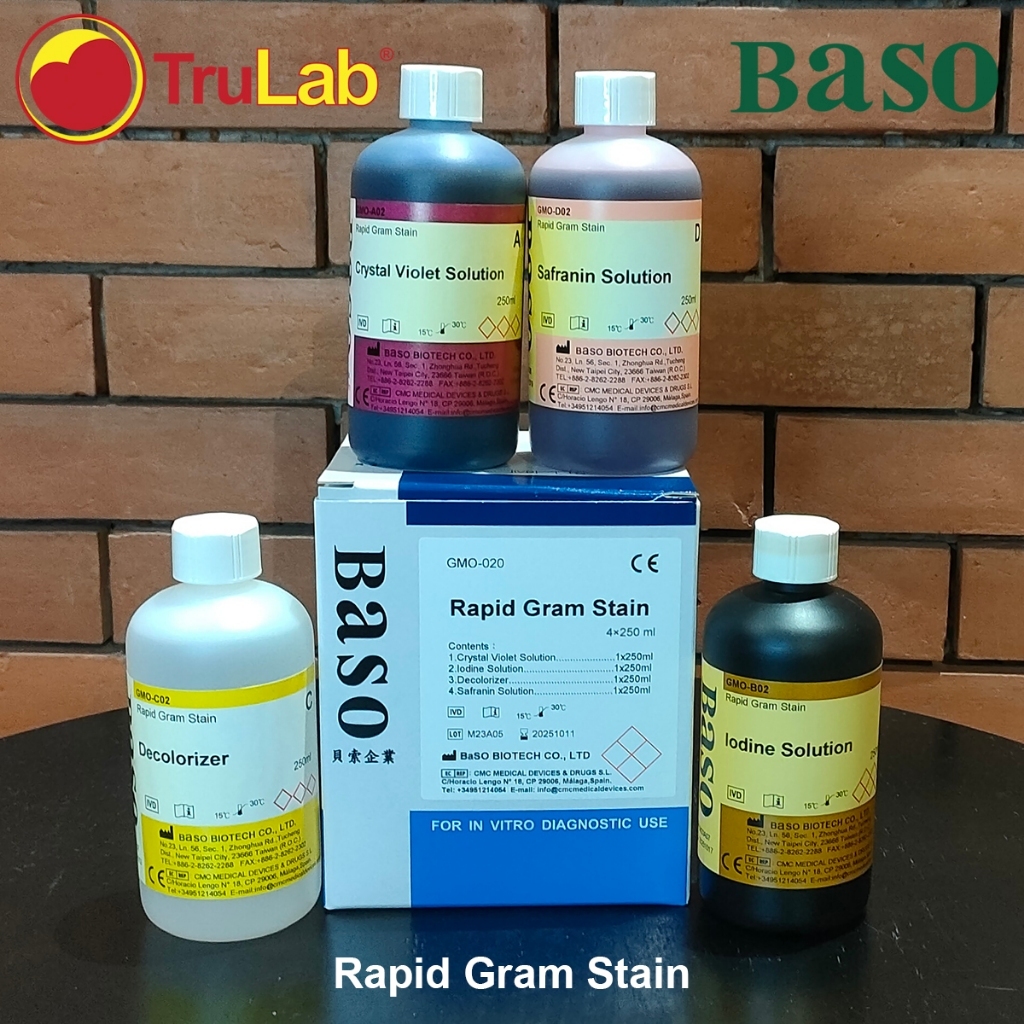 Rapid Gram Stain 4x250ml BASO Laboratory & Medical Supplies | Shopee ...