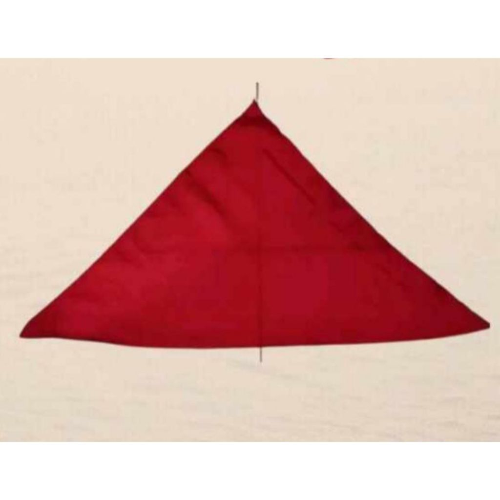 PANYO ASSORTED COLOR PANG BUWAN NG WIKA(ISAHAN) | Shopee Philippines