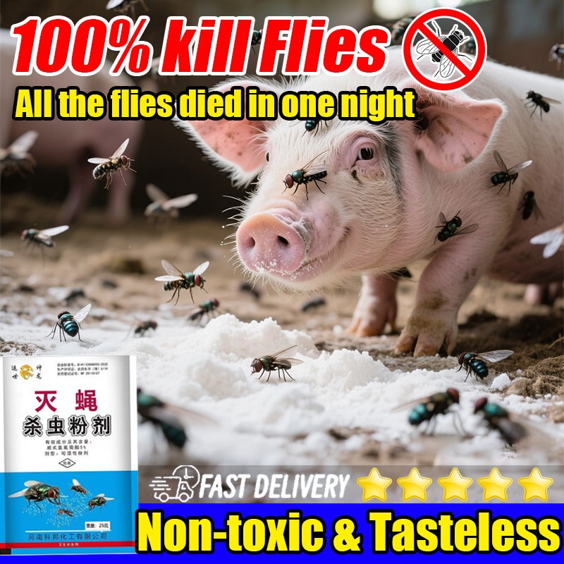 100% kill Fly Killing Powder Bait 250G Fly repellant Non-toxic ...