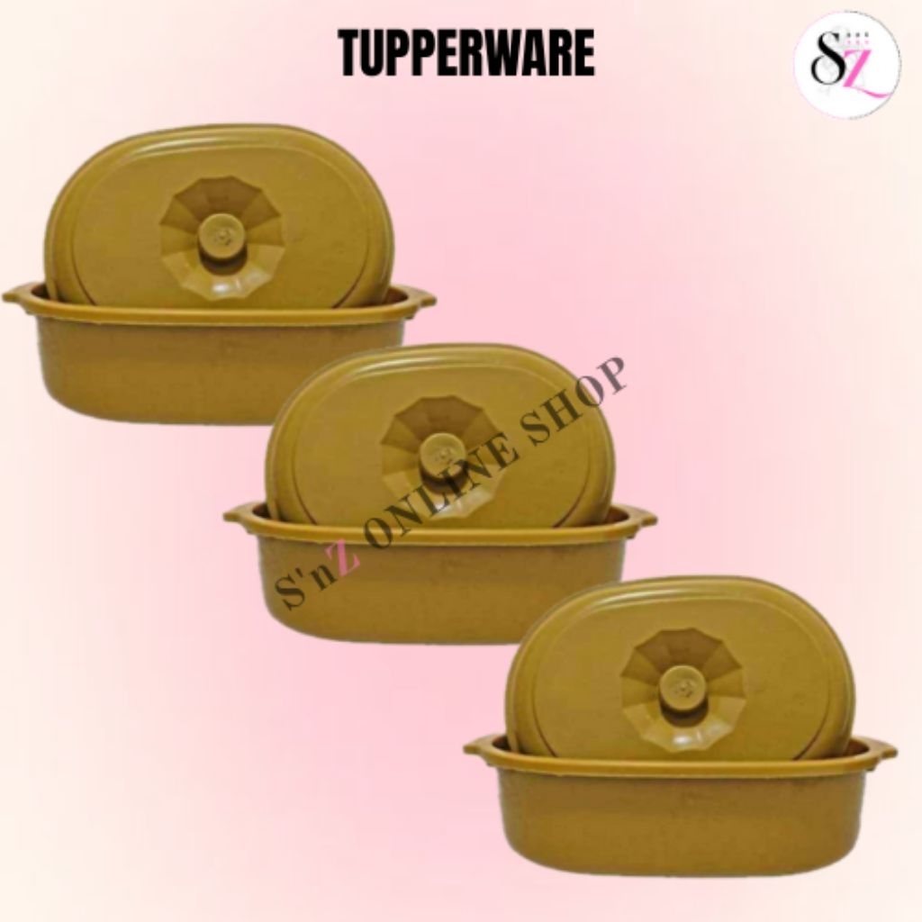 FOOD KEEPER TUPPERWARE PLASTIC / tupperware | Shopee Philippines