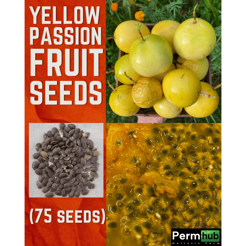 Yellow Passionfruit Seeds (75 seeds) | Shopee Philippines