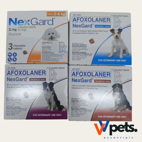 Nexgard Ordinary Regular Anti Tick & Flea with Free Sticker Chewable ...