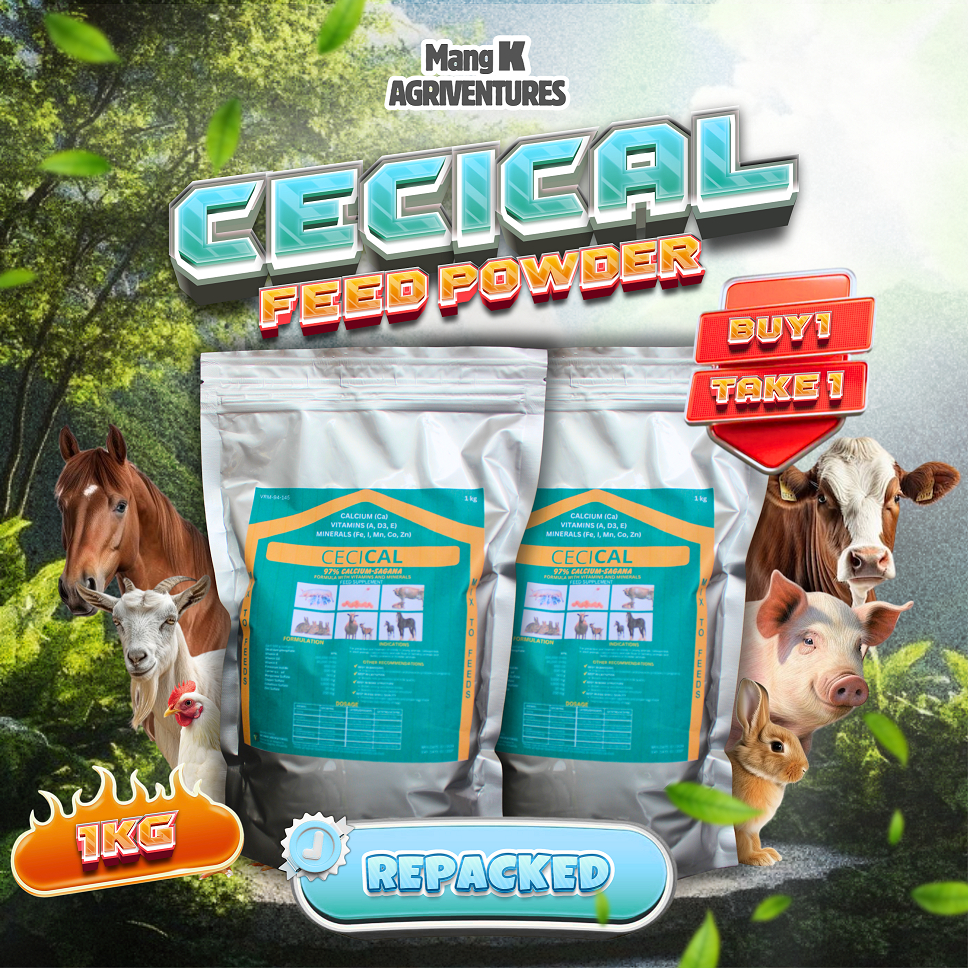 Cecical Powder 1 KG BUY 1 TAKE 1 | Calcium for Poultry, Swine, Goat ...