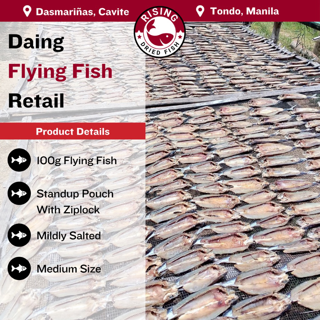 100g Premium Flying Fish Dried Cebu - Authentic Filipino Daing ( in ...