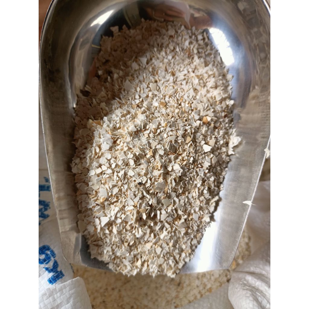 CRUSHED SHELL Available in 1 kilo and 500g | Shopee Philippines