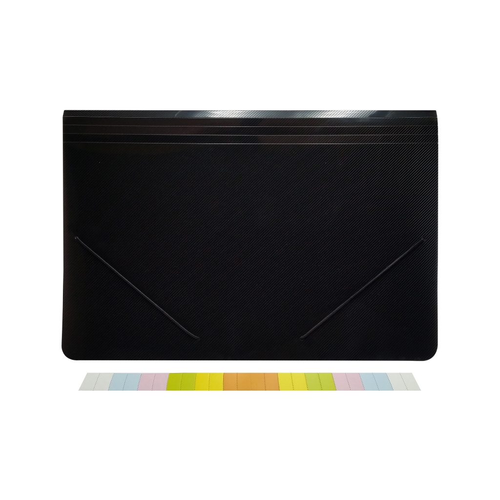 Smarty Long Accordion File Organizer Expandable File Envelope Folder w ...