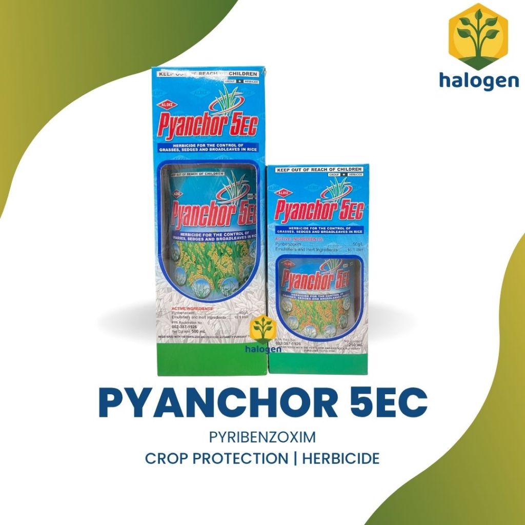 PYANCHOR PYRIBENZOXIM 5 EC SELECTIVE HERBICIDE (250mL/500mL) | Shopee ...