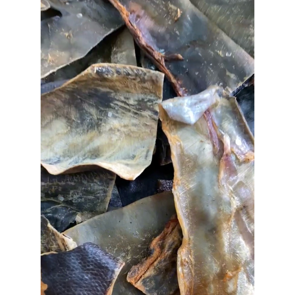Dried Tuna Balat Chicharon 100g Vacuum Sealed (Dried Fish) | Shopee ...