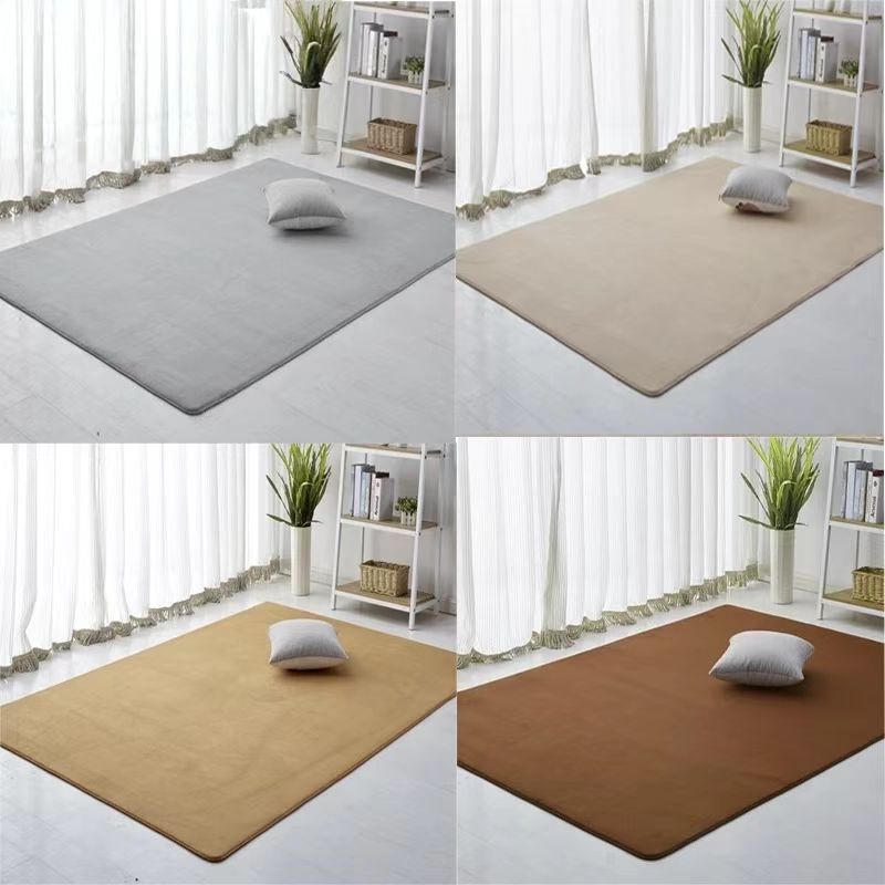 Coral Fleece Carpet Thickened Non-Slip Solid Color Carpet Modern ...