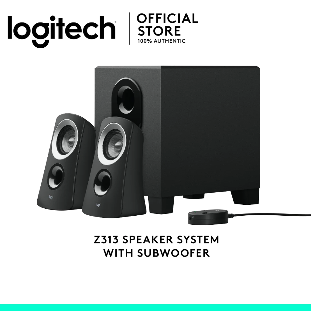 2. Logitech Z313