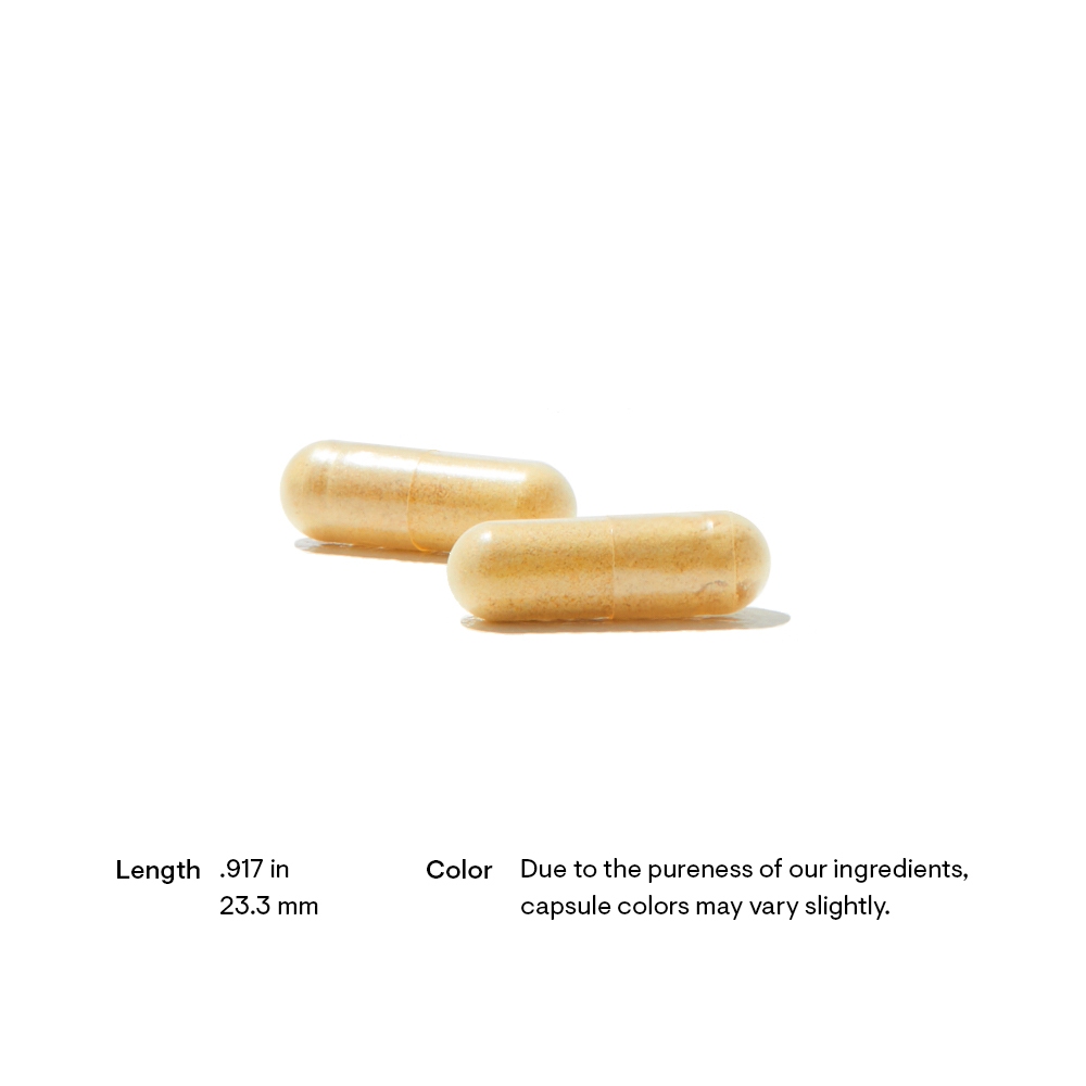 Thorne Basic B Complex 60 Capsule | Shopee Philippines