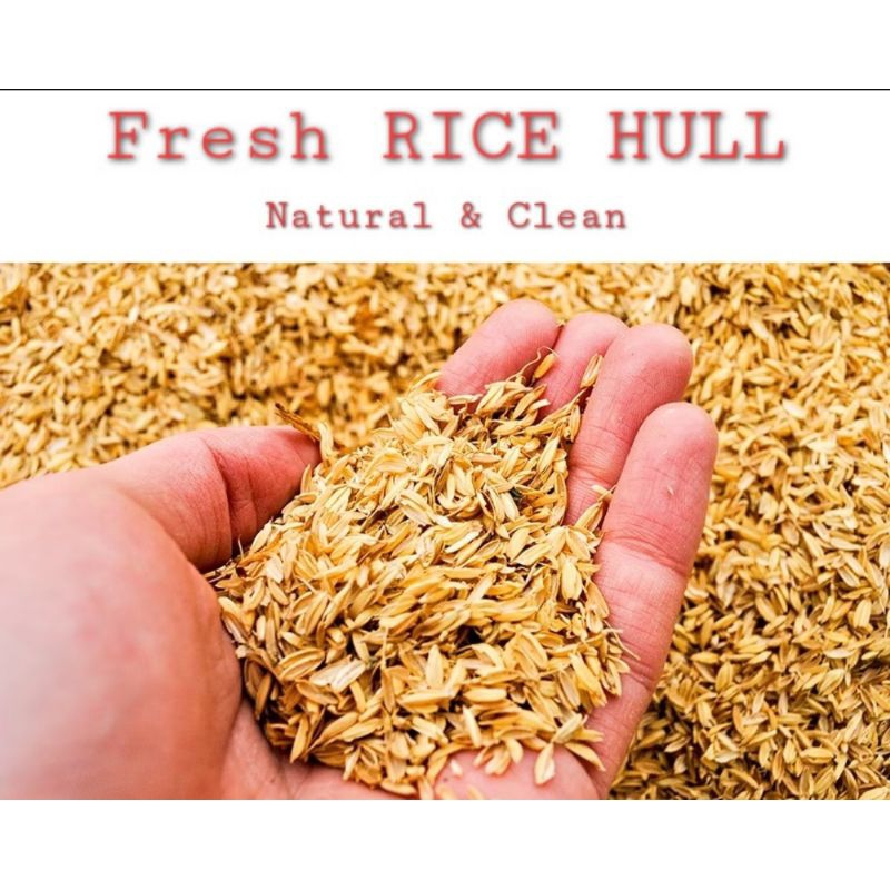 2 kilos RICE HULL (IPA ng Palay) III | Shopee Philippines