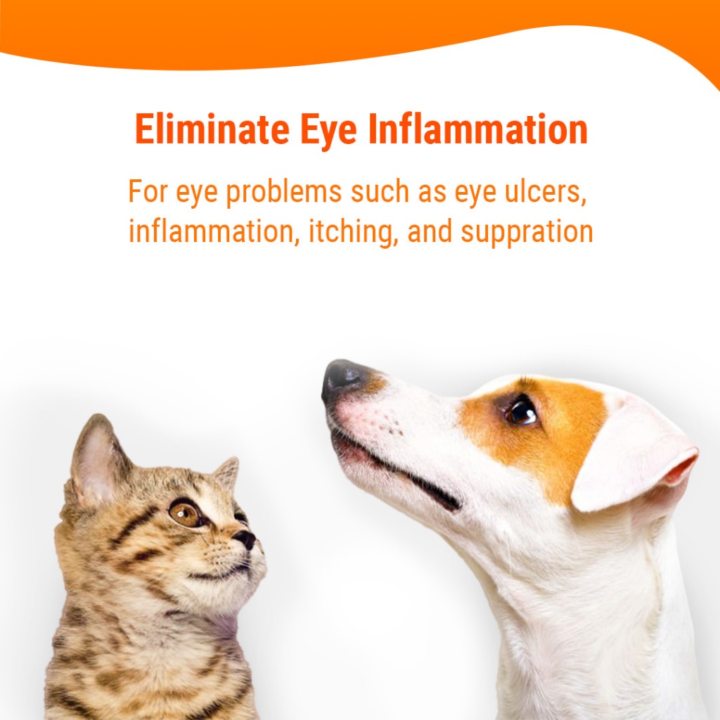 CASSIEL PET Gentamicin Sulfate Eye Drops For Infection For Dogs & Cats ...