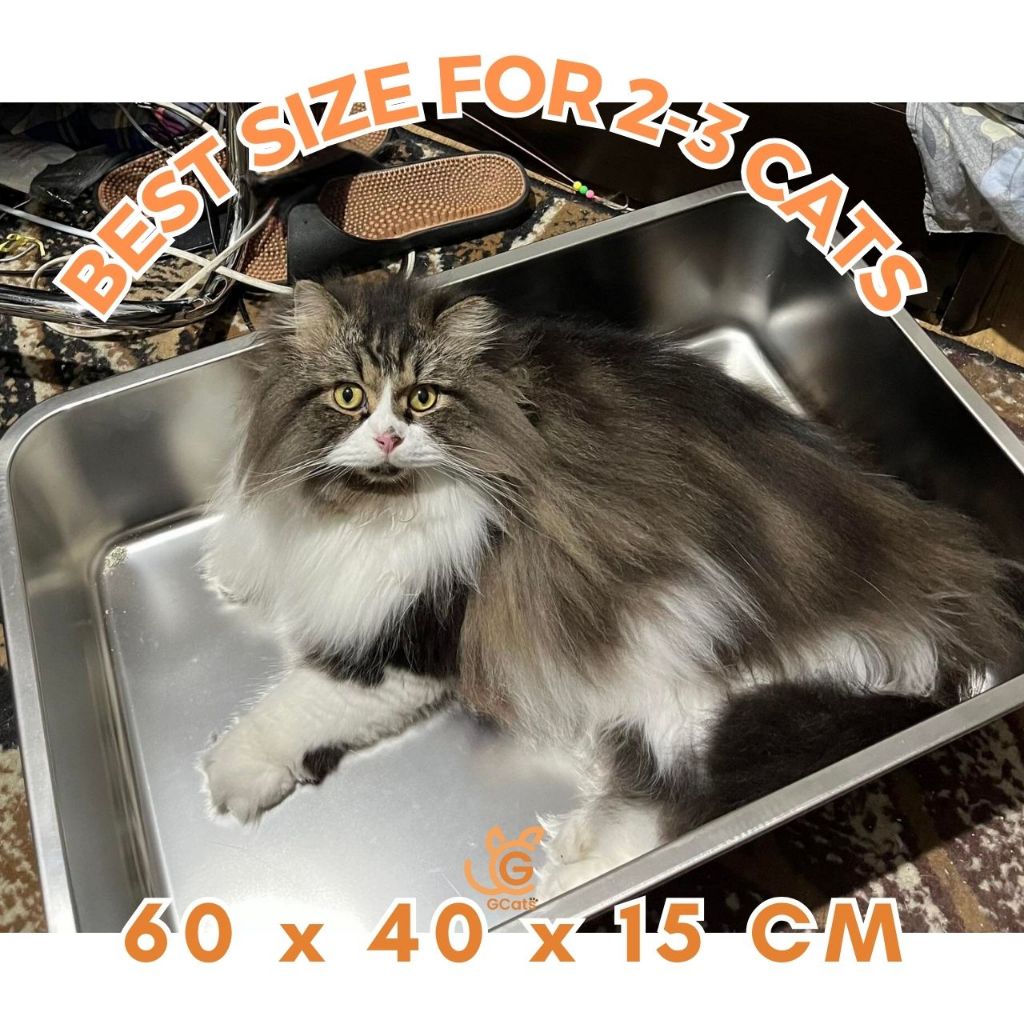 GCATS Large Cat Stainless Litter Box (Metro Manila) High Side Enclosure