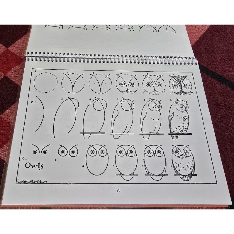 What To Draw And How To Draw It By E.G. Lutz | Charlotte Mason Living ...