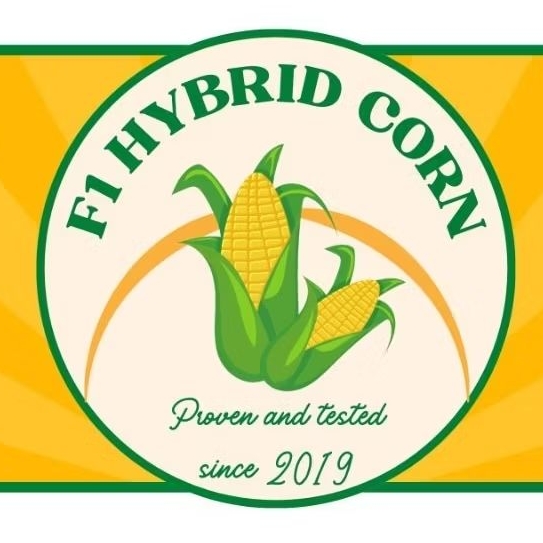 20kG F1 HYBRID CORN SEED/MURANG BIN I Shopee Philippines