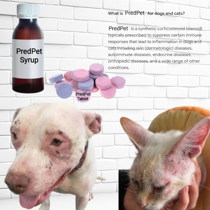 PredPet Syrup PredPet Tablet for Dogs and CatsSold per Tablet and a