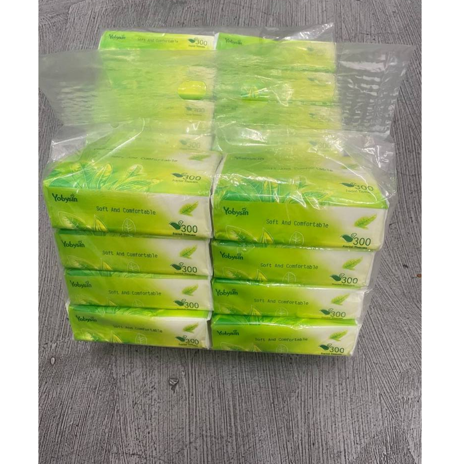 BUY1 TAKE 8 Pack Facial Tissue (300sheets) Tissue, Napkin, Toilet Paper ...