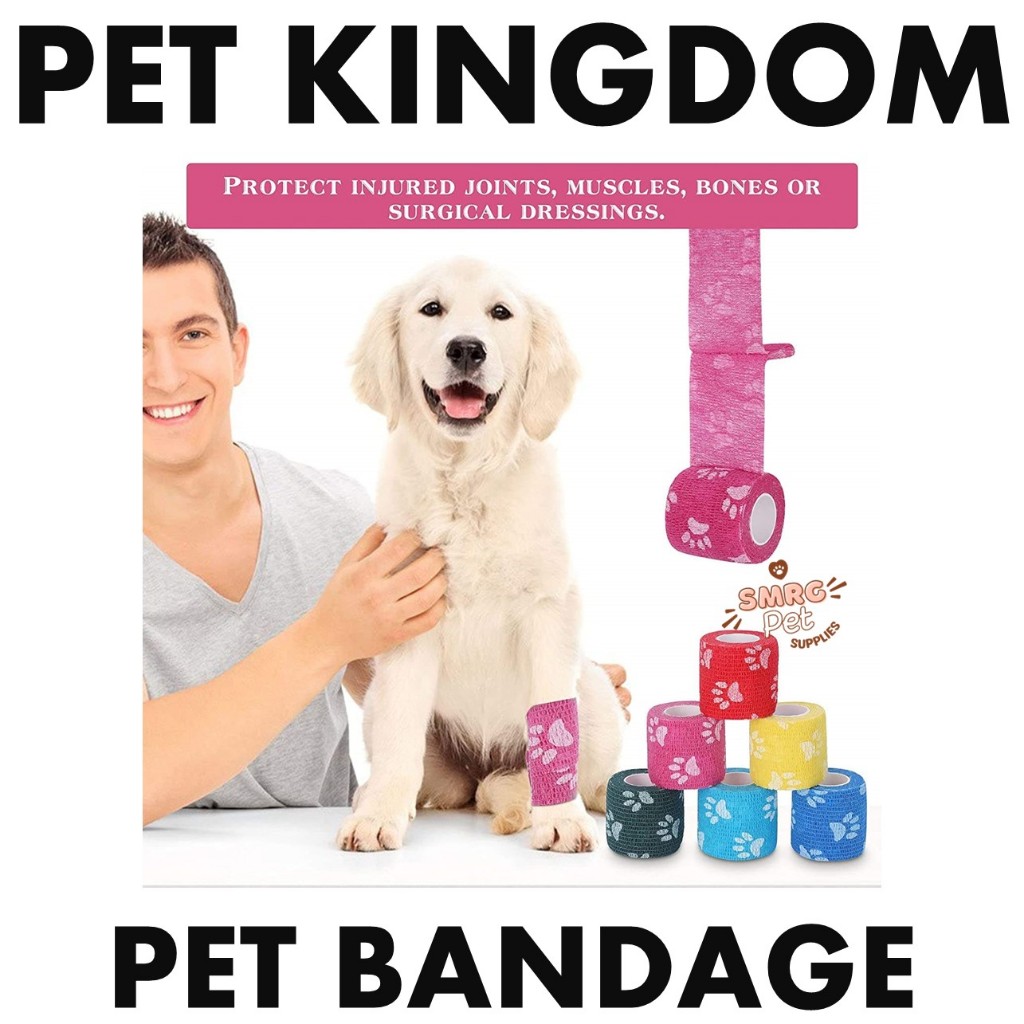 Snapshot of Packing Tape Pet Safety Precautions For Pets At Home