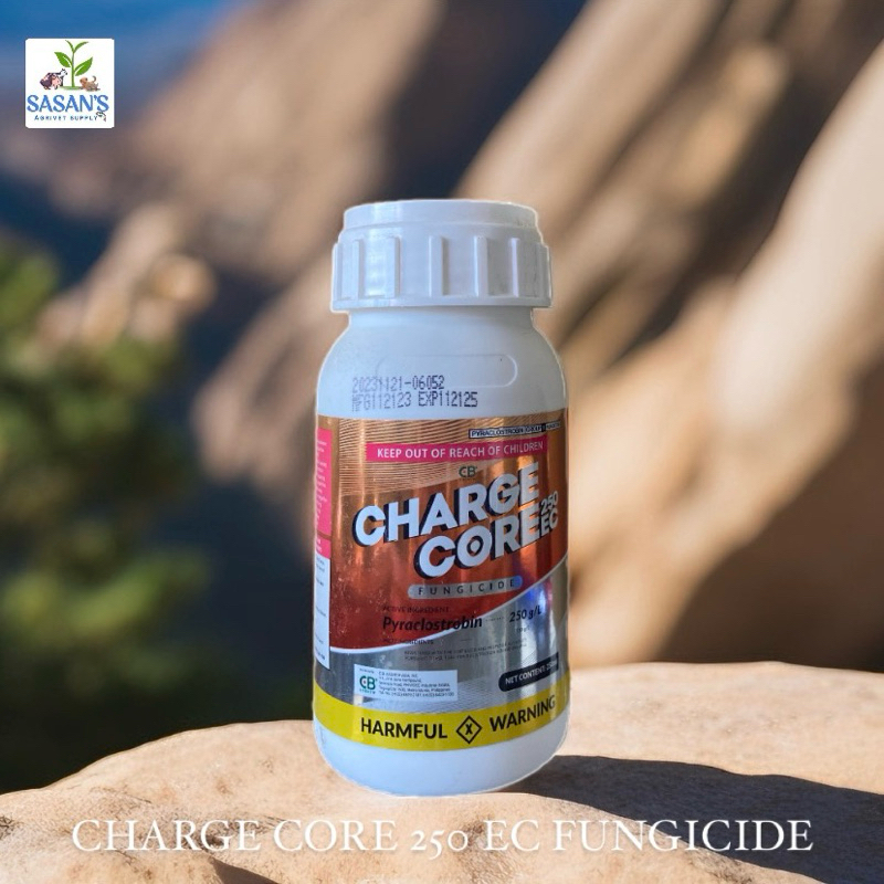 CHARGE CORE FUNGICIDE 250EC 250ML | Shopee Philippines