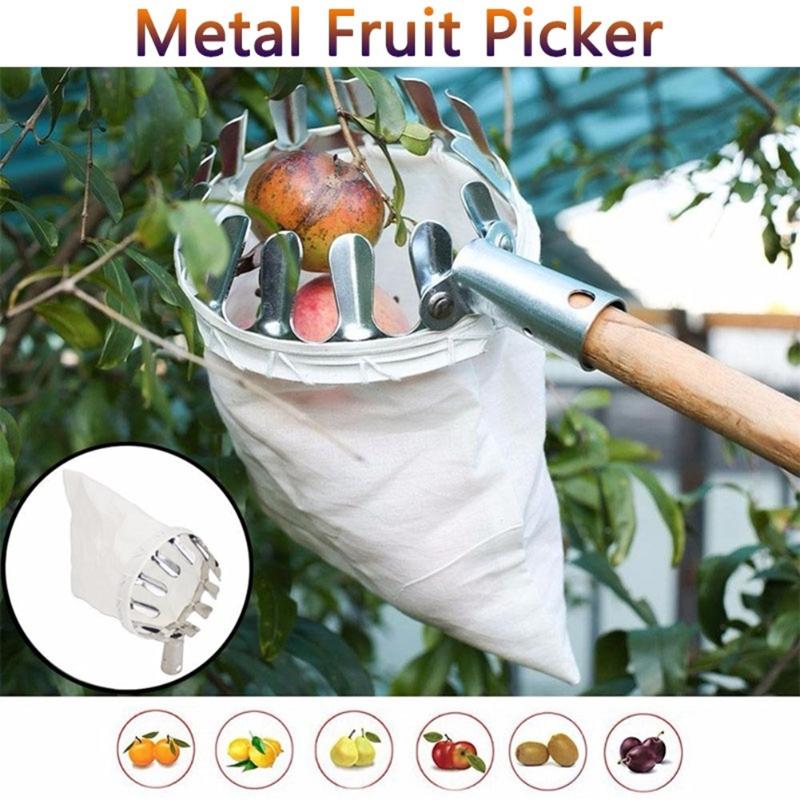 Fruit Picker Basket Catcher Picking Fresh Orange Garden Tools for Broom ...