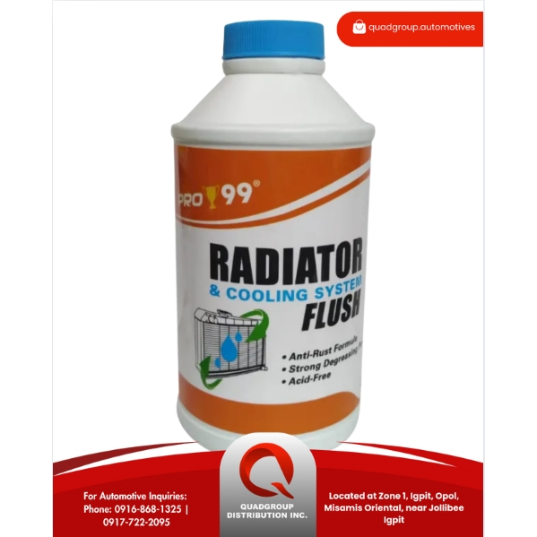 PRO 99 RADIATOR FLUSH 354ML | Shopee Philippines