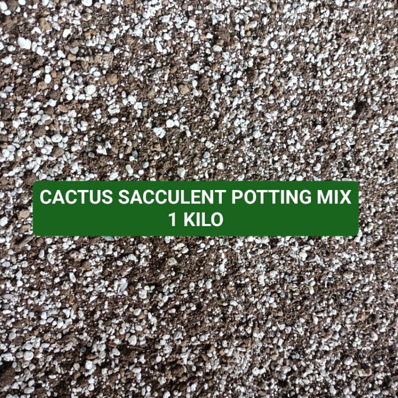 CACTUS SUCCULENT POTTING MIX | Shopee Philippines