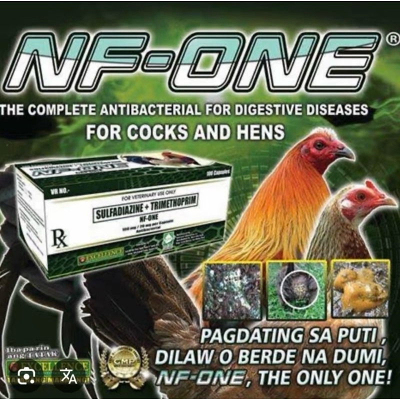 NF One Capsule Excellence Sold Per Piece | Shopee Philippines