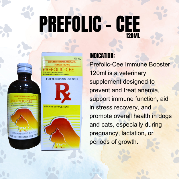 Shop prefolic cee for dogs for Sale on Shopee Philippines