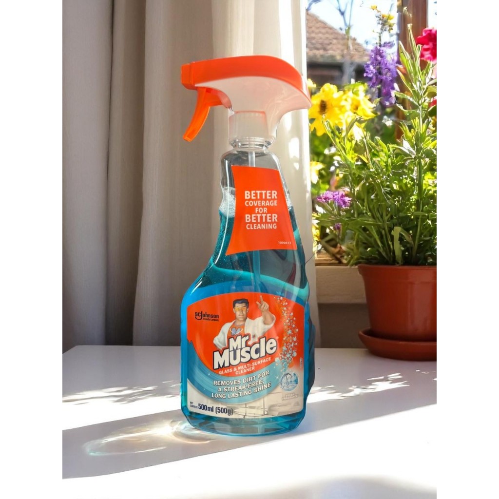 Mr Muscle Glass and Multi-surface Cleaner 500ml | Shopee Philippines