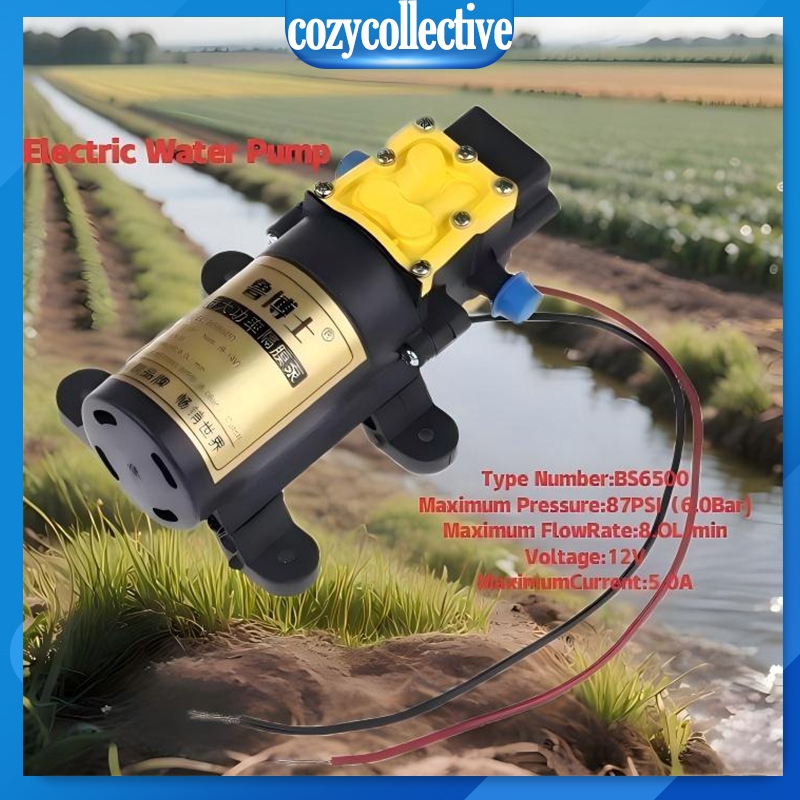Agricultural Electric Water Pump Sprayer DC12V 8L/min Large Flow Rate ...